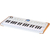 Arturia AstroLab 37  - 1A Showroom Modell (Zustand: wie neu, in OVP) thumbnail 5