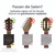 Shaman Acoustic Snaren voor Western Gitaar incl. 2 Reserve Snaren en 3 Plectrums thumbnail 5