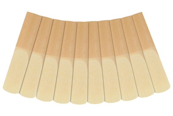 Classic Cantabile AS-450 Antique Yellow Eb Set Saxophone Alto image 5