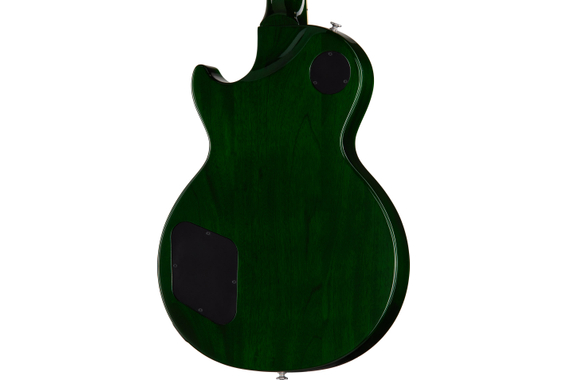 Gibson Les Paul Studio Session Iguana Burst image 5