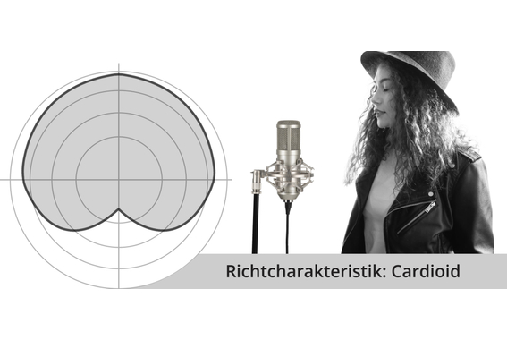 Pronomic CM-100S Studio Großmembranmikrofon inkl. Spinne & Windschutz Silber  - Retoure (Zustand: sehr gut) image 5