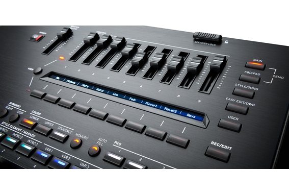 Korg Pa5X 76 International Deluxe Set image 5