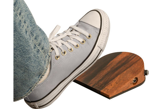 Ortega ANNALOGX-SE Stomp Box Effect Series ANNAlog image 5