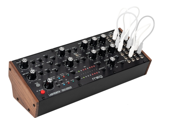 Moog Labyrinth  image 5