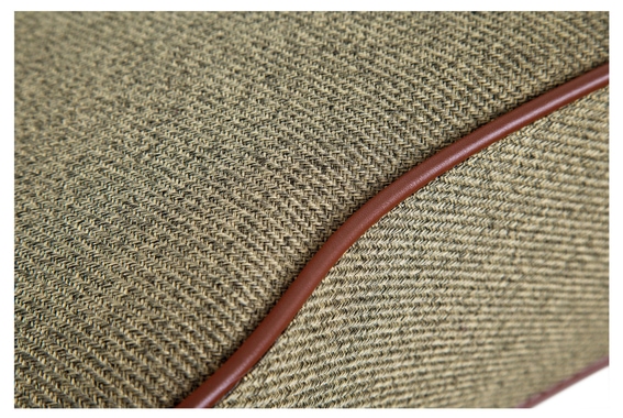 Ibanez FS40DA image 5