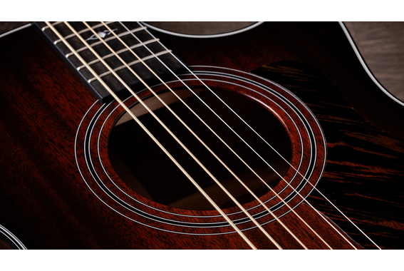 Taylor 324ce Baritone-6 Limited Edition image 5