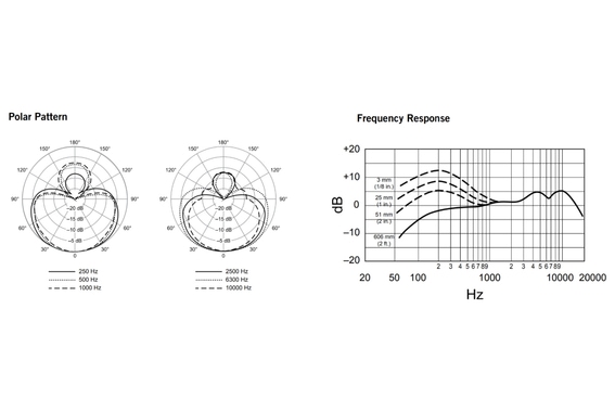 Shure Beta 58A image 5