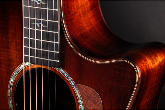 Taylor Special Edition K24ce image 5