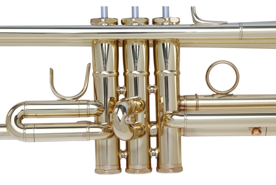 Lechgold TR-16L Bb-trompet gelakt image 5