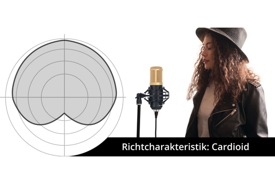 Pronomic CM-100BG Microphone Studio à Grande Membrane & Anti-pop image 5