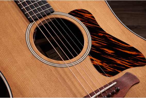 Taylor Gold Label 710e image 5