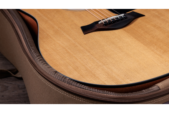 Taylor 117e image 5