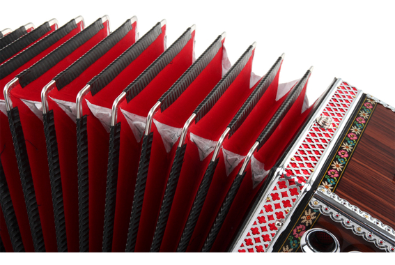 Zupan Alpe IIID Harmonica Palisander (G-C-F) image 5