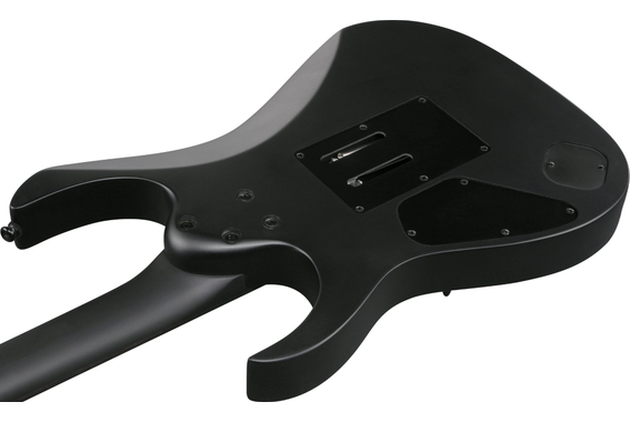 Ibanez RGRB620-BKF Iron Label Black Flat image 5