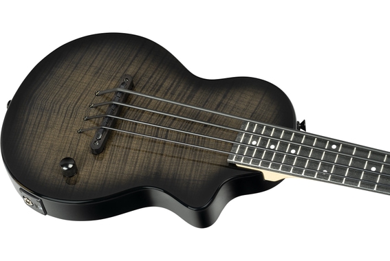 Ortega NEO-BS-TGB Neo Series Ukulele Bass Transparent Grey Burst image 5