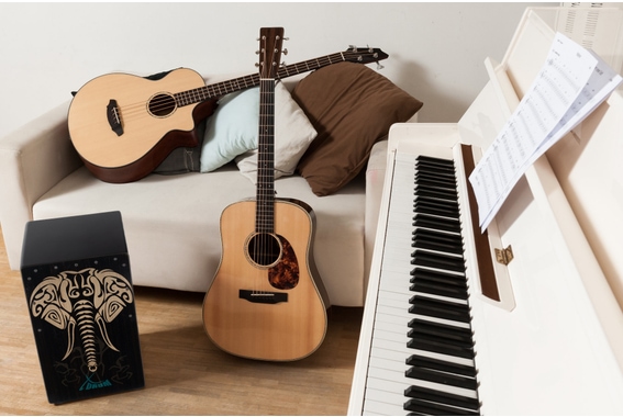 XDrum Design Series Cajon "Elephant" Set incl. Borsa + Scuola image 5