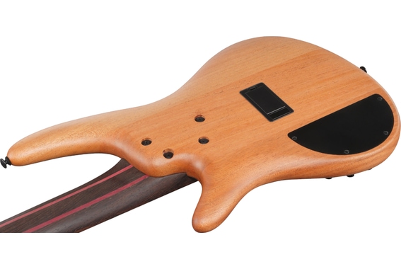 Ibanez SR1455DW-TGF Premium SR Basse Électrique Transparent Gray Flat image 5