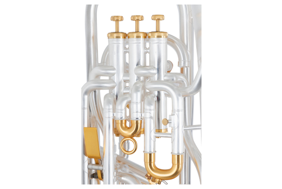 Lechgold EU-310SB euphonium verzilverd geborsteld image 5