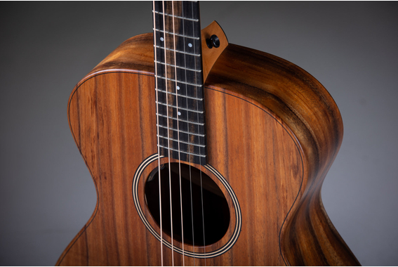 Taylor Jacob Collier Signature JCSM-5  image 5