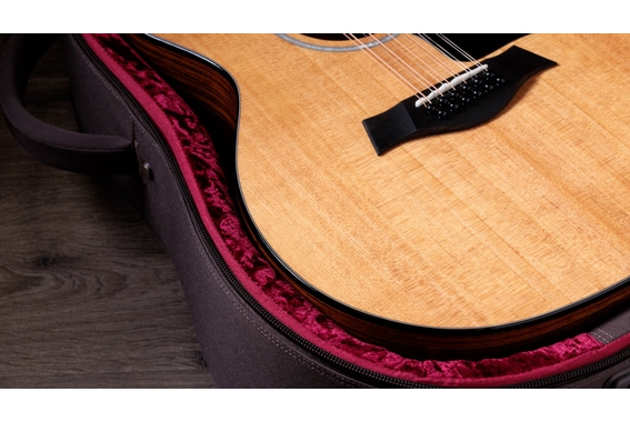 Taylor 254ce Plus image 5