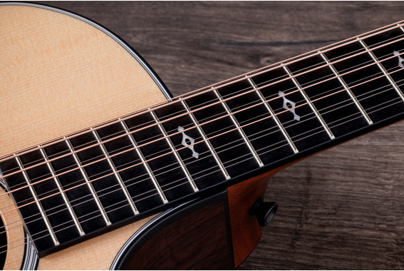 Taylor 454ce Next Generation image 5