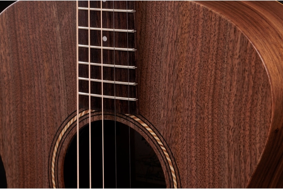 Jacob Collier Academy 22e 5-String image 5