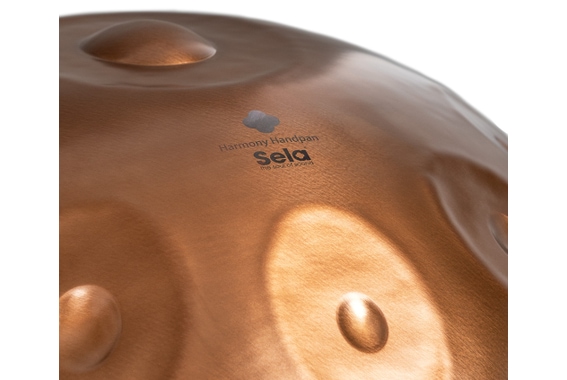 Sela 320 Harmony Handpan D Kurd 10 Phoenix Steel image 5