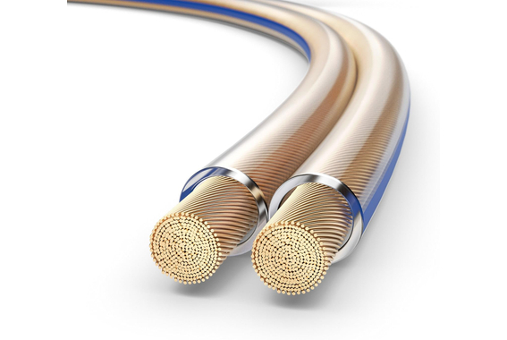 Fosi Audio BT30D Pro / Polk 2.1 Bass Shaker Set image 5