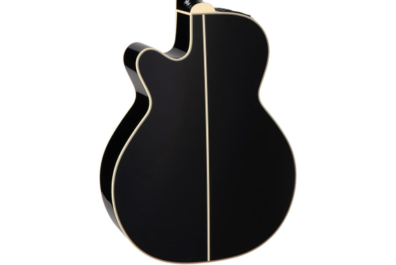 Takamine TDP561 Custom Black  - Retoure (Zustand: gut) image 5
