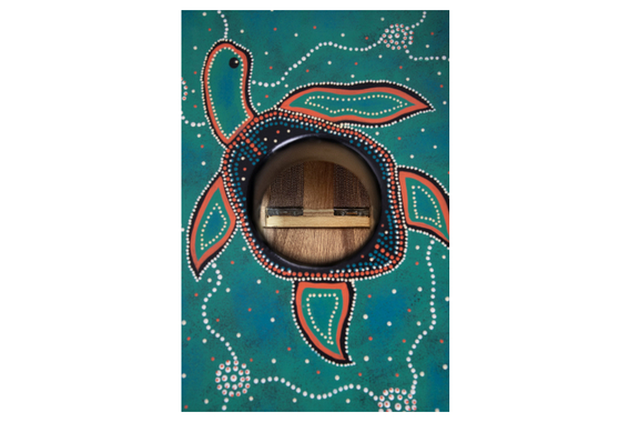 XDrum Design Series Cajon "Turtle"  - Retoure (Zustand: sehr gut) image 5