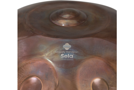 Sela SE 314 Majesty Handpan F2 Pygmy 17 Acier Inoxydable image 5