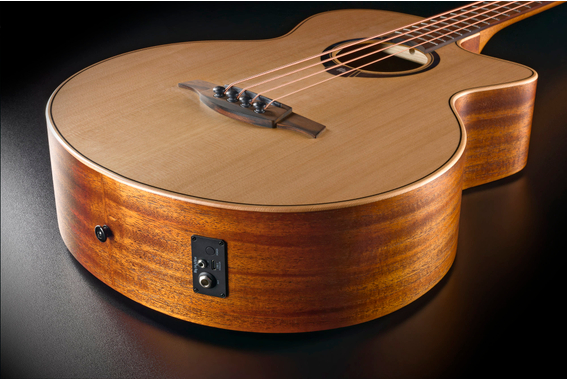 LAG HV10BCE HyVibe 10 Acoustic Bass image 5