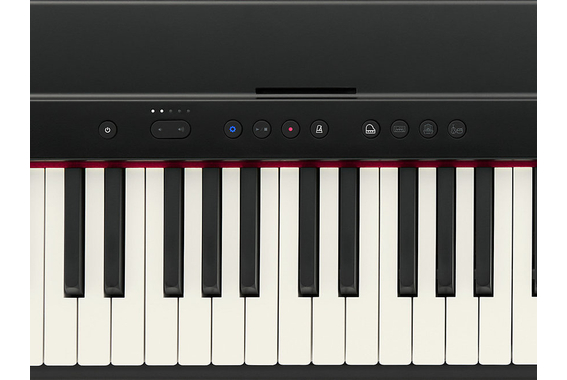 Roland GO-88PX GO:PIANO88 Deluxe Set image 5