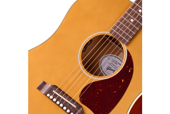 Gibson J-45 Standard Gold Top image 5
