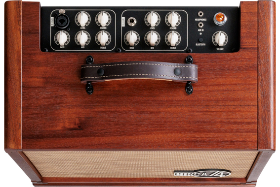 Taylor Circa74 AV150-10 150W 10" Akustik Combo image 5