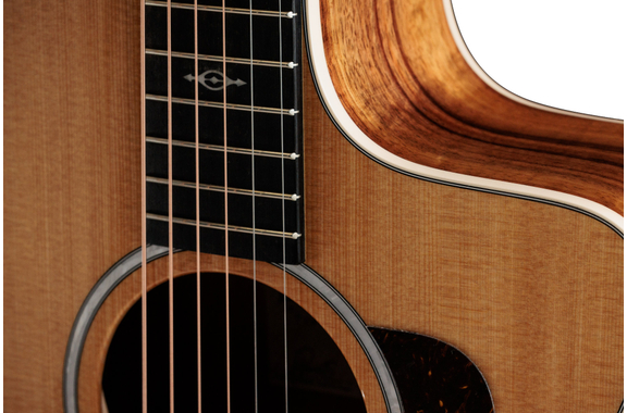 Taylor 214ce-K DLX image 5