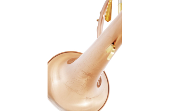 Lechgold FH-60GB Bugle en Sib brossé image 5