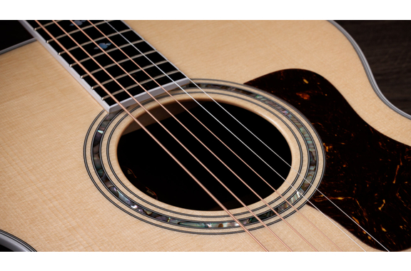 Taylor Legacy 815e Jumbo  image 5