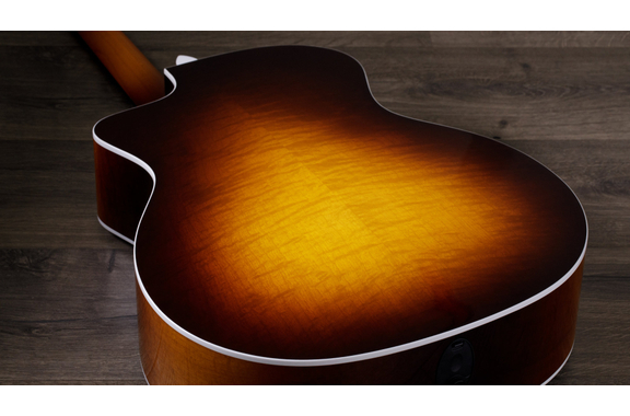 Taylor 224ce DLX LTD All Urban Ash  - Retoure (Zustand: sehr gut) image 5
