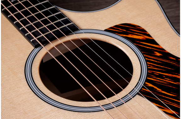 Taylor 314ce Next Generation image 5
