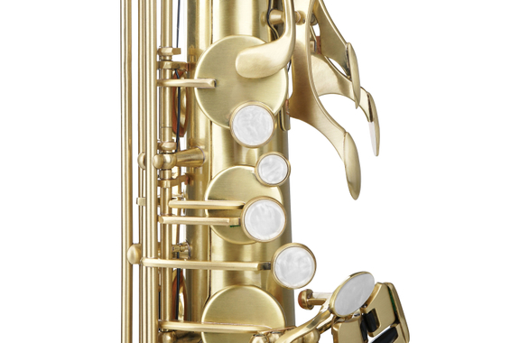 Classic Cantabile Winds TS-450 Geborsteld Tenorsaxofoon Set image 5