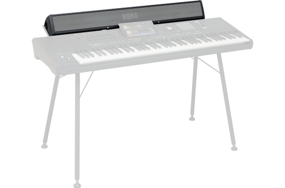 Sistema Di Altoparlanti Korg PaAS MK2 image 5