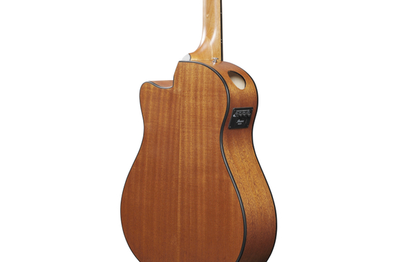 Ibanez AAM50CE-OPN Open Pore Natural image 5