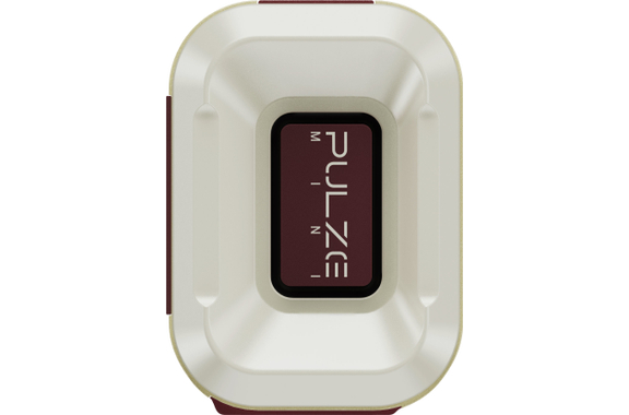 Hotone Pulze Mini  image 5