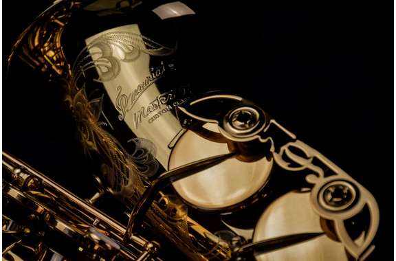 P. Mauriat Altsaxofoon Master 97 goud gelakt image 5