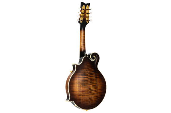 Ortega RMFE100AVO Mandolino F-Style Antique Violin Oil image 5