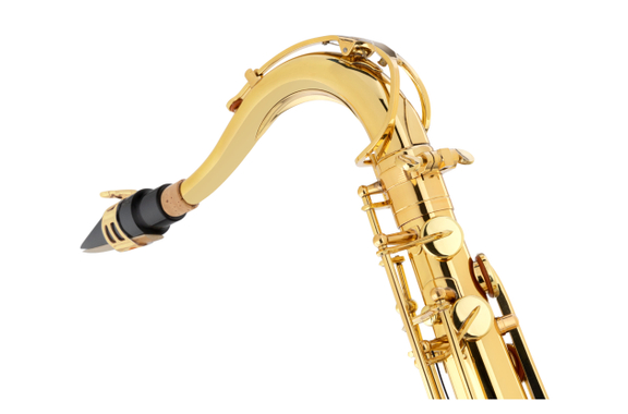 Lechgold LTS-20L Sassofono Tenore Verniciato image 5