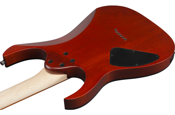 Ibanez RG421PB-CHF Caribbean Shoreline Flat image 5