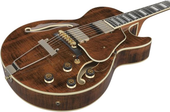 Ibanez AG95MG-DA Artcore Expressionist AG image 5