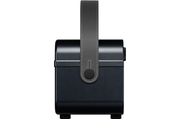 Hotone AP-20 Pulze Jr. Eclipse image 5